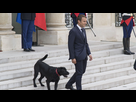 https://image.noelshack.com/fichiers/2023/22/7/1685907387-emmanuel-macron-moment-vole-cote-son-chien-nemo.jpeg