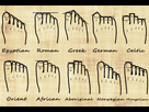 https://image.noelshack.com/fichiers/2023/23/3/1686097199-your-foot-shape-and-your-genealogy-chart.jpg