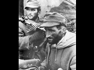 https://image.noelshack.com/minis/2023/23/3/1686128599-allemand-barbu.png