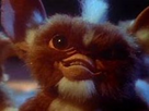 https://image.noelshack.com/fichiers/2023/23/5/1686311019-mogwai.jpg