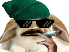 https://image.noelshack.com/fichiers/2023/23/6/1686433830-lapinbeliersuperstylay.png