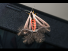 https://image.noelshack.com/fichiers/2023/23/7/1686492049-creatonotos-gangis-moth-coremata.jpg