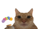 https://image.noelshack.com/fichiers/2023/24/2/1686688992-1684242362-glace.png