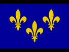 https://image.noelshack.com/fichiers/2023/24/3/1686737320-drapeau-flag-flagg-ile-de-france-fleur-de-lys-etendart-roi-de-france-polyest.jpg