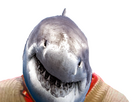 https://image.noelshack.com/fichiers/2023/24/5/1686868649-requin3.png