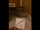 https://image.noelshack.com/minis/2023/24/6/1686955128-e6623d3c-6285-49d0-9d92-afd5a590b060.png