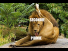 https://image.noelshack.com/fichiers/2023/24/6/1686966016-pidmie.png