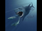 https://image.noelshack.com/fichiers/2023/25/3/1687298963-00-09-05-240px-vmnh-megalodon.jpg