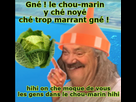 https://image.noelshack.com/minis/2023/25/4/1687437234-chou-marin-2.png