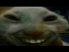 https://image.noelshack.com/fichiers/2023/25/5/1687515963-xdd.png
