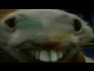 https://image.noelshack.com/fichiers/2023/25/5/1687520527-xpp.png