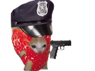 https://image.noelshack.com/minis/2023/25/6/1687560177-fraispolicecat.png