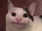 https://image.noelshack.com/fichiers/2023/25/7/1687668618-1531302251-wuv7y8o.jpeg