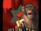 https://image.noelshack.com/fichiers/2023/26/2/1687895002-screenshot-20230531-121505-youtube.jpg