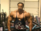 https://image.noelshack.com/fichiers/2023/26/5/1688146591-kevin-levrone.jpg
