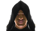https://image.noelshack.com/fichiers/2023/26/5/1688148671-lucieen.png