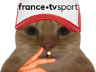 https://image.noelshack.com/fichiers/2023/26/6/1688225911-chat-francetv-sport.png