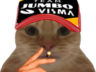 https://image.noelshack.com/fichiers/2023/26/7/1688312734-chat-casquette-jumbo-visma.png