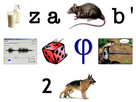 https://image.noelshack.com/fichiers/2023/27/1/1688373056-zara.png