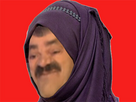 https://image.noelshack.com/fichiers/2023/27/2/1688463687-wallah.jpg