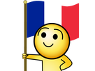 https://image.noelshack.com/fichiers/2023/27/3/1688554427-1513899385-france.png