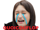 https://image.noelshack.com/fichiers/2023/27/3/1688569510-quoicouflop.png