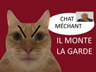 https://image.noelshack.com/minis/2023/27/5/1688720476-chatmechant.png