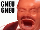 https://image.noelshack.com/minis/2023/27/7/1688908503-gneu-gneu.png