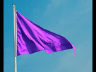 https://www.noelshack.com/2023-28-2-1689076380-drapeau-violet.jpg