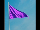 https://www.noelshack.com/2023-28-2-1689092959-drapeau-mauve.jpg