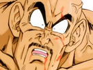 https://image.noelshack.com/fichiers/2023/28/3/1689179512-nappa-wtf-v2.png