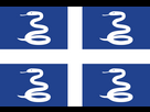 https://image.noelshack.com/fichiers/2023/28/5/1689313011-drapeau-aux-serpents-de-martinique-svg-1.png