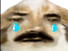 https://image.noelshack.com/minis/2023/28/6/1689411201-lapinbelier-sad.png