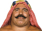 https://image.noelshack.com/fichiers/2023/28/7/1689514886-sheik.png