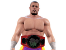 https://image.noelshack.com/fichiers/2023/28/7/1689526481-raimei-champ.png
