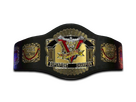 https://image.noelshack.com/fichiers/2023/28/7/1689532345-fc-champ-dd.png