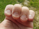 https://image.noelshack.com/fichiers/2023/29/5/1689929262-ongles-ronges-toc.jpg