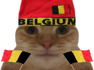 https://image.noelshack.com/fichiers/2023/29/5/1689933875-chatbelge.png