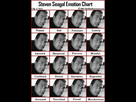 https://image.noelshack.com/fichiers/2023/29/6/1690003642-steven-seagal-emotion-chart.jpg