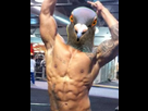 https://image.noelshack.com/fichiers/2023/29/6/1690049189-pigeonchad.png