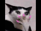 https://image.noelshack.com/minis/2023/30/3/1690331926-2d613f26e6c10b1404134da533895e25.png