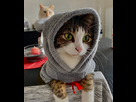 https://image.noelshack.com/fichiers/2023/30/3/1690335967-img-3125.jpeg