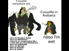 https://image.noelshack.com/fichiers/2023/30/4/1690488153-2b8f652d-9825-4492-9275-bb459e5ea623.jpeg
