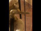 https://image.noelshack.com/minis/2023/30/5/1690575832-83bbcb80-0685-456f-8a5b-86aea6237831.png