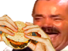 https://image.noelshack.com/fichiers/2023/31/4/1691075869-risiburger.png