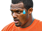 https://image.noelshack.com/fichiers/2023/31/4/1691092707-deshaun-watson2.png