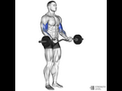 https://image.noelshack.com/fichiers/2023/31/5/1691151818-ez-bar-curl-1000x1000.jpg