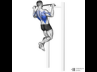 https://image.noelshack.com/fichiers/2023/31/5/1691151880-pull-ups-1000x1000.jpg