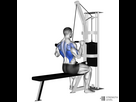 https://image.noelshack.com/fichiers/2023/31/5/1691153532-lat-pulldown-1000x1000.jpg