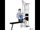 https://image.noelshack.com/fichiers/2023/31/5/1691153551-one-arm-lat-pulldown-1000x1000.jpg